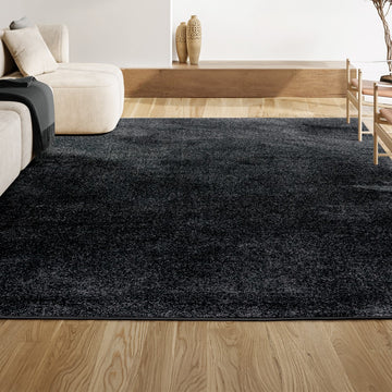 Haze Solid Low-pile Area Rug Black
